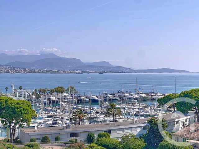 Appartement Studio Cabine à vendre - 1 pièce - 27.0 m2 - VILLENEUVE LOUBET - 06 - PROVENCE-ALPES-COTE-D-AZUR - Century 21 Marina Baie Des Anges