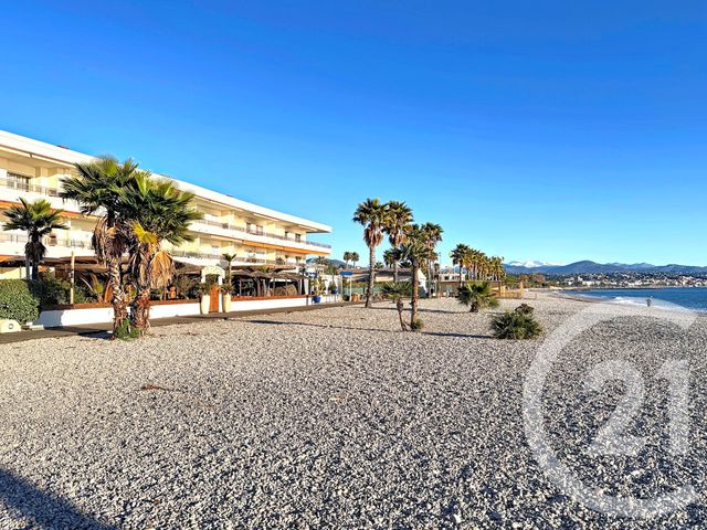 Appartement T1 à louer - 1 pièce - 33.0 m2 - VILLENEUVE LOUBET - 06 - PROVENCE-ALPES-COTE-D-AZUR - Century 21 Marina Baie Des Anges