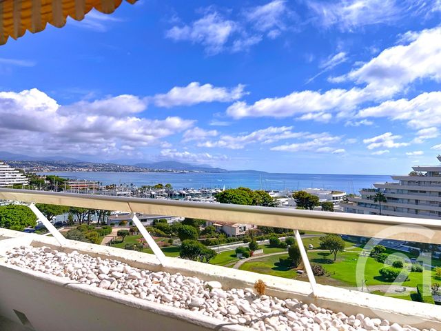 Appartement T1 à louer - 1 pièce - 29.65 m2 - VILLENEUVE LOUBET - 06 - PROVENCE-ALPES-COTE-D-AZUR - Century 21 Marina Baie Des Anges