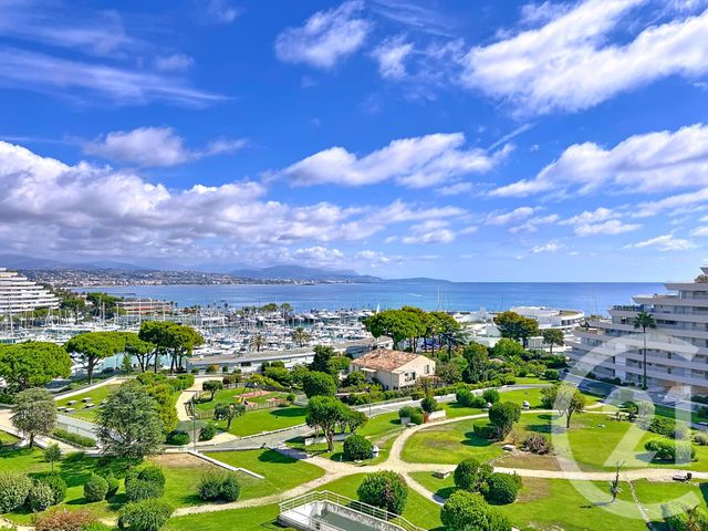 Appartement T1 à louer - 1 pièce - 29.65 m2 - VILLENEUVE LOUBET - 06 - PROVENCE-ALPES-COTE-D-AZUR - Century 21 Marina Baie Des Anges