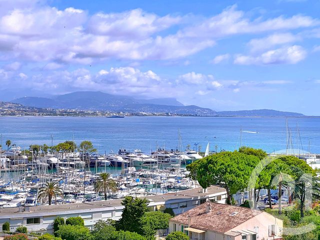 Appartement T1 à louer - 1 pièce - 29.65 m2 - VILLENEUVE LOUBET - 06 - PROVENCE-ALPES-COTE-D-AZUR - Century 21 Marina Baie Des Anges