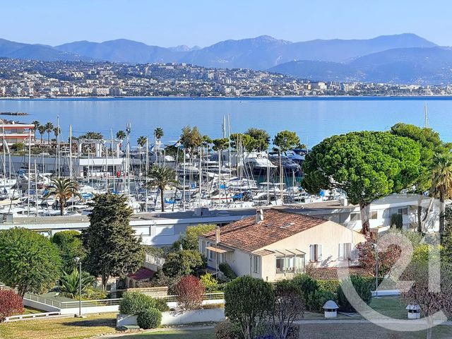 Appartement T2 à louer - 2 pièces - 36.0 m2 - VILLENEUVE LOUBET - 06 - PROVENCE-ALPES-COTE-D-AZUR - Century 21 Marina Baie Des Anges